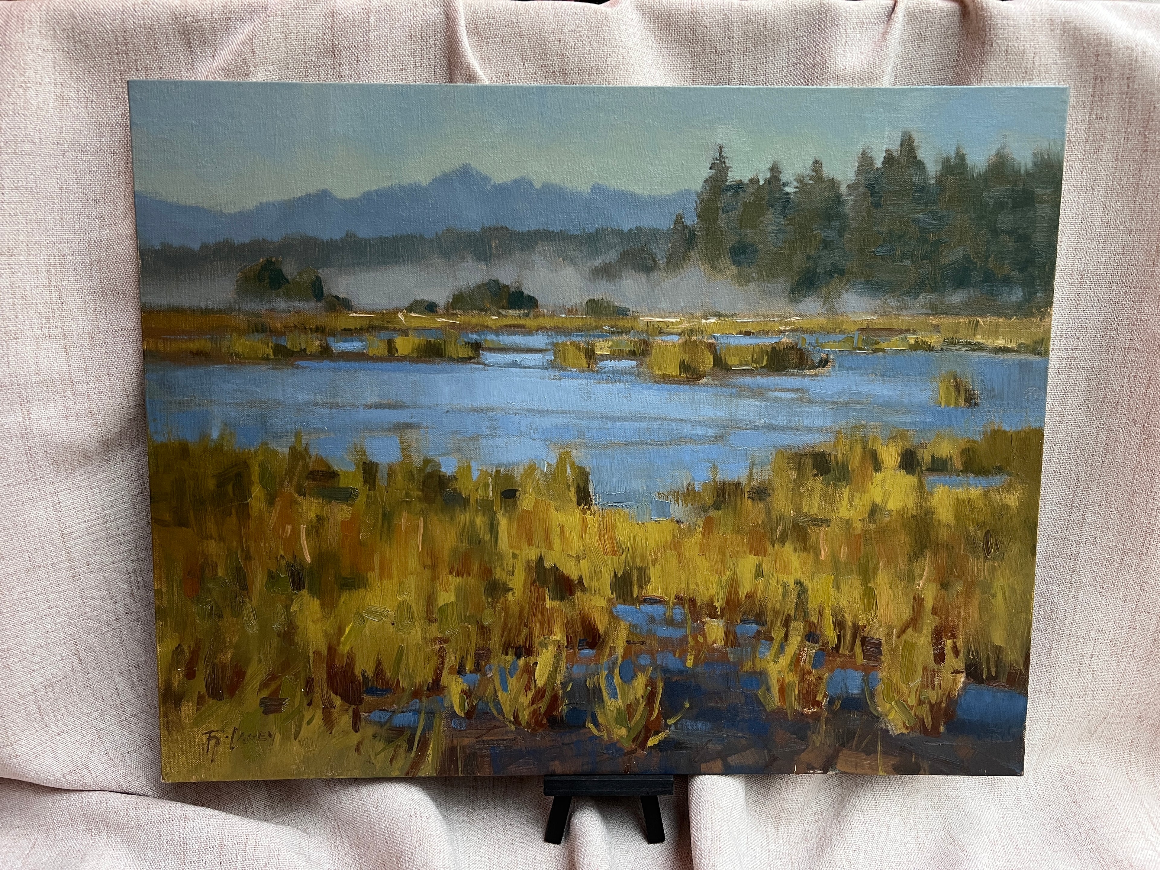 Camano Island Slough