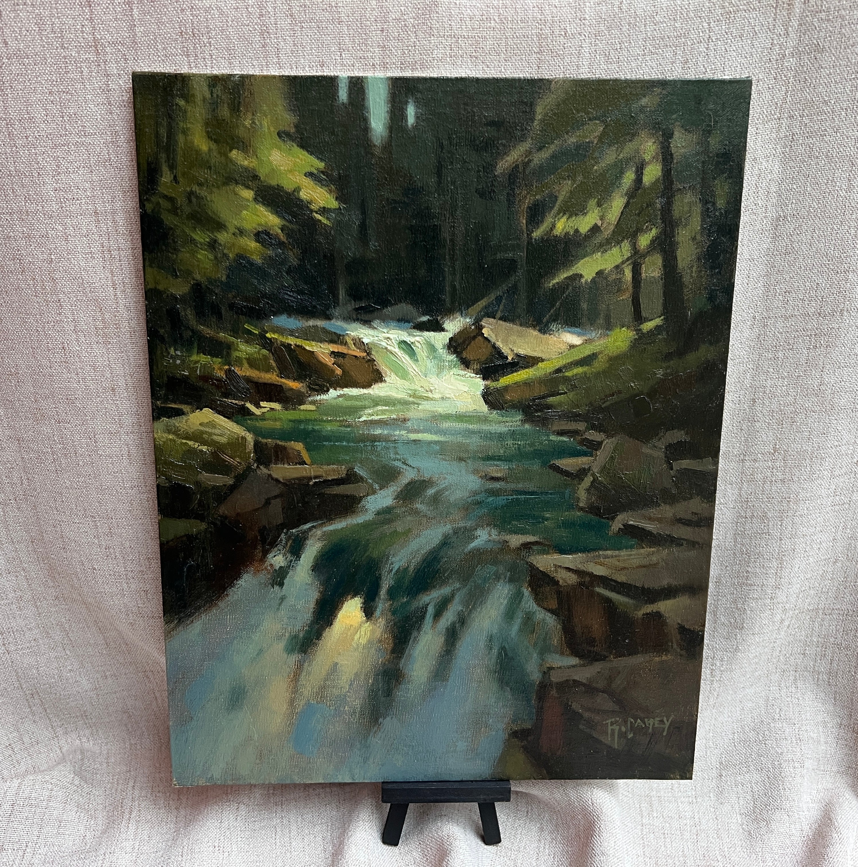 Where the Light Falls